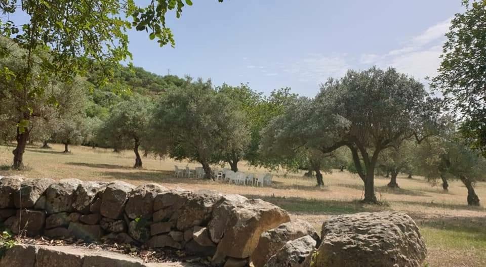 Regia Trazzera Hotell Ragusa Exteriör bild